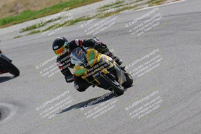 media/Mar-12-2023-2WTD (Sun) [[1973d9d700]]/B Group/220pm (Turn 4)/